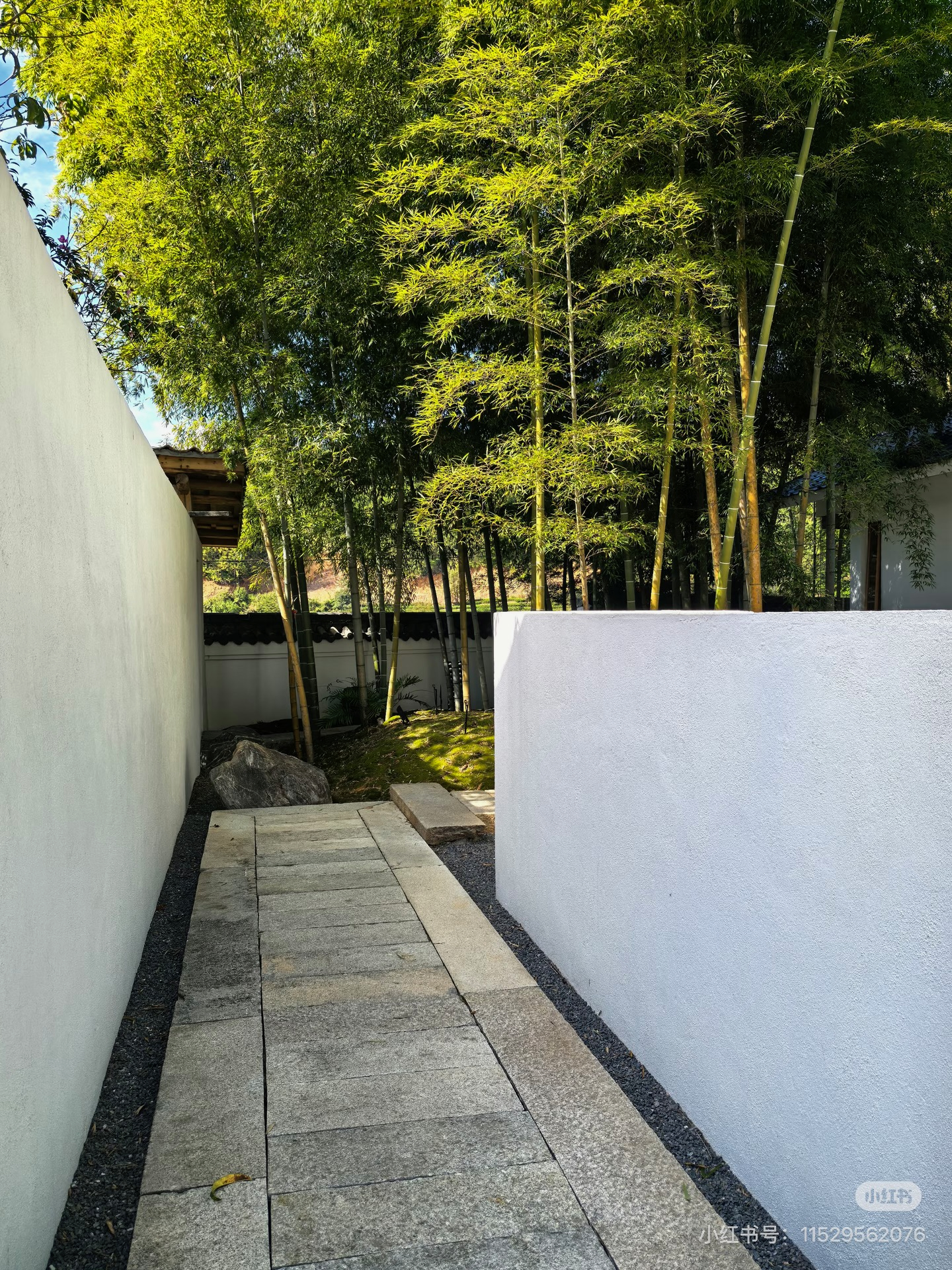 庭院与环境